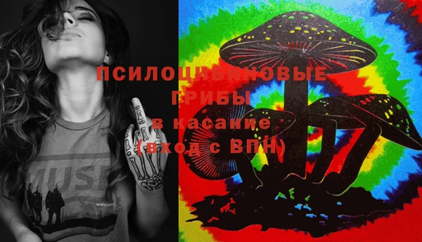 дживик Баксан
