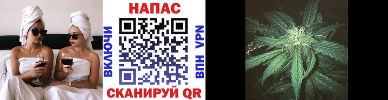 это официальный сайт Карабаш Шишки марихуана THC 21%